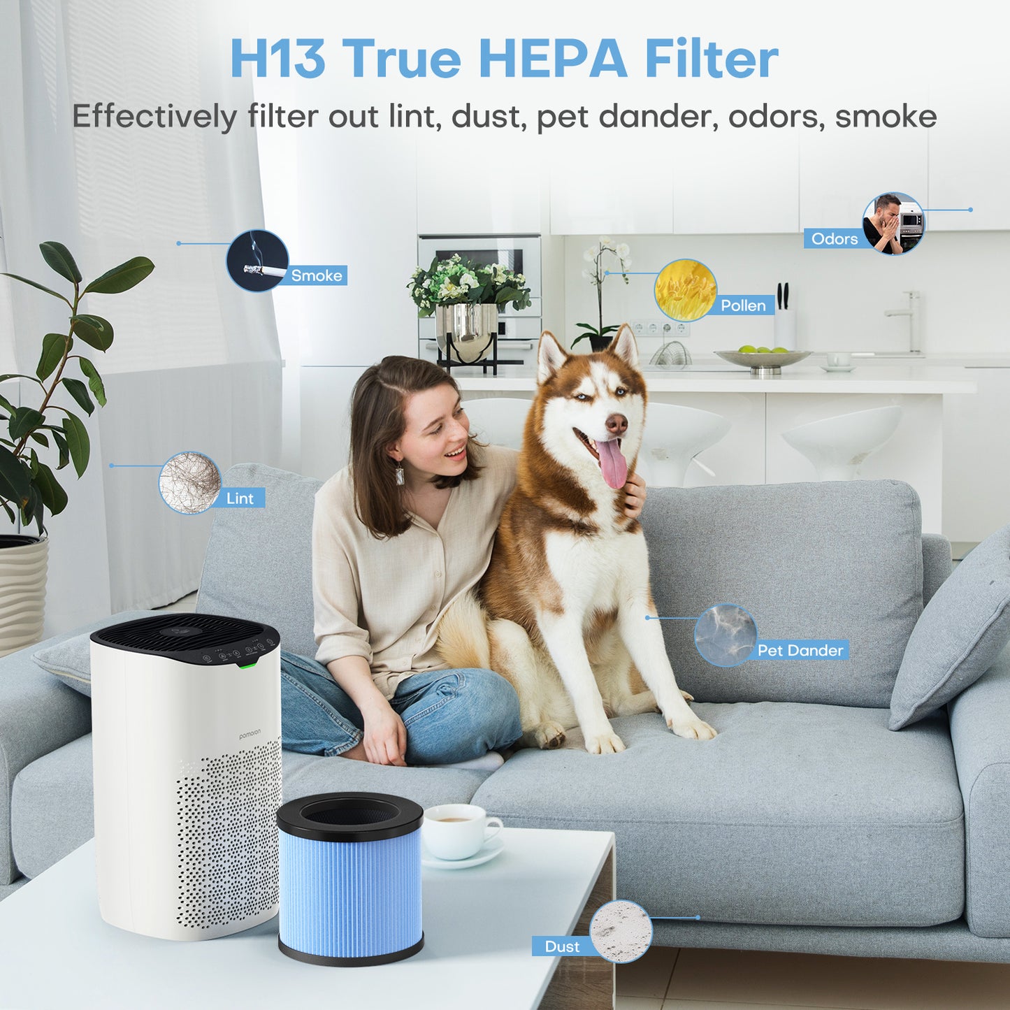 POMORON MJ003HD Genuine Replacement Filter